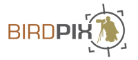 birdpix-logo