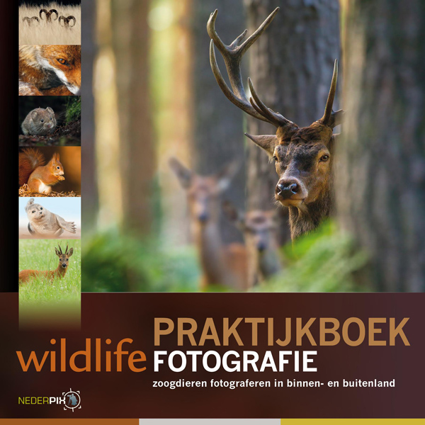Cover_praktijkboek_wildlifefotografie_handboek